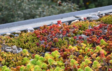 the cost of Wainfleet All Saints green roof installation